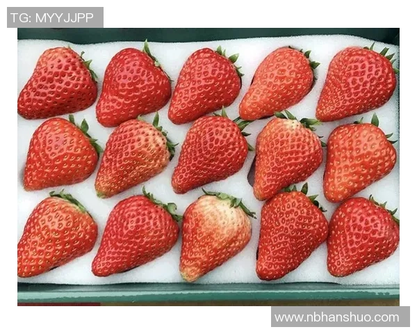 京东与冈山绿鸡的较量:电商巨头如何影响地方特色农产品的发展 京东与冈山绿鸡的较量:电商巨头如何影响地方特色农产品的发展