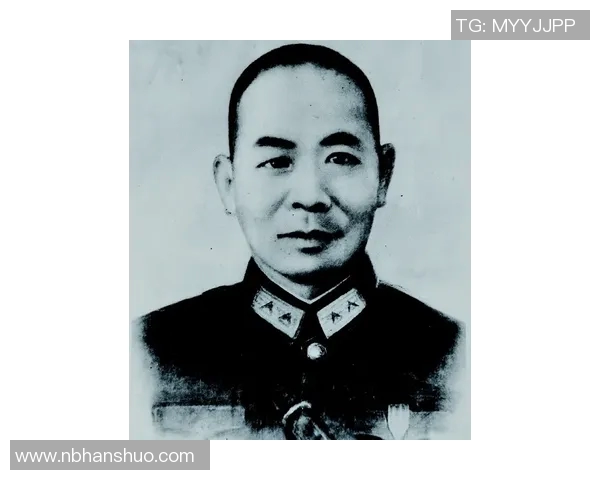 南云齐的传奇人生与奋斗历程探寻与启示