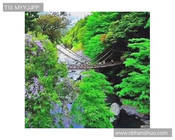 探索德岛漩涡的神秘魅力与自然奇观之旅