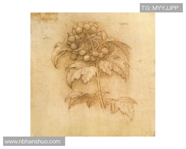 亚当斯的传奇人生与创新思想对现代社会的深远影响探讨